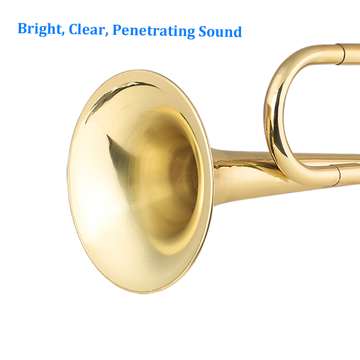 金メッキ真鍮cブグルコールトランペット、初心者用マウスピース - Trombone Mouthpiece のレビューと価格